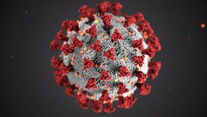 The Status of the Current Infection for MTHFR + People